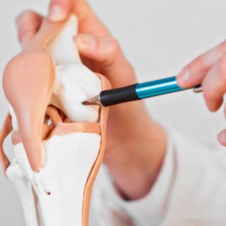 Rigenerazione dei tessuti articolari